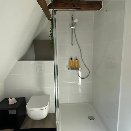 Duplex Douillet Renove - Terrasse - Wifi - Parking - Proche Piste Cyclable - Apartment Schleithal