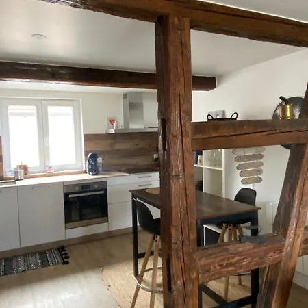 Duplex Douillet Renove - Terrasse - Wifi - Parking - Proche Piste Cyclable - Schleithal