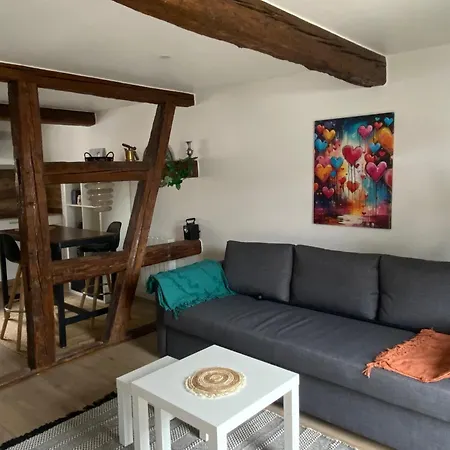 Duplex Douillet Renove - Terrasse - Wifi - Parking - Proche Piste Cyclable - דירה Schleithal