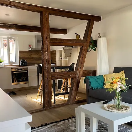 Duplex Douillet Renove - Terrasse - Wifi - Parking - Proche Piste Cyclable - Schleithal